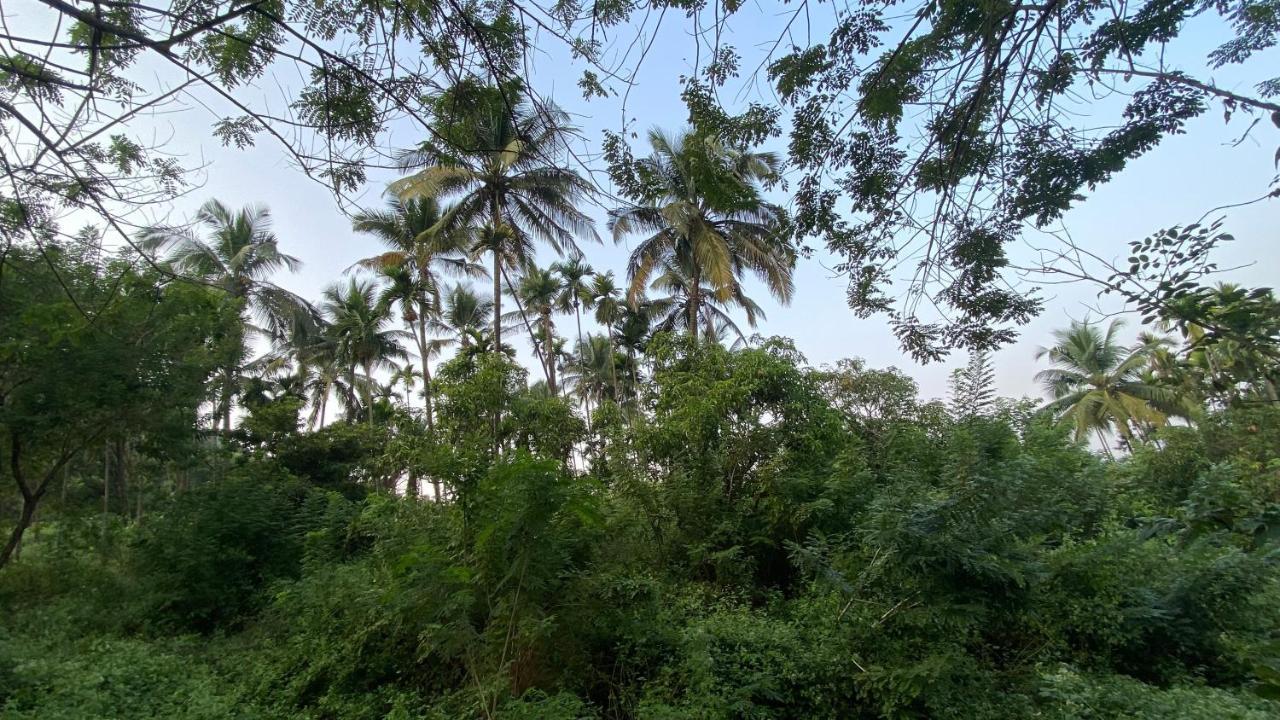 Villa Lermitage Farms Kashid Alibaug Exterior foto